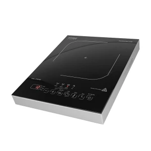 CASO Pro Gourmet 2100