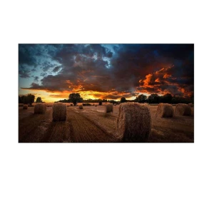 Մոնիտոր SAMSUNG LH46VMBUBGBXEN 46 "