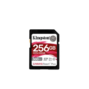 SD քարտ KINGSTON 256 GB SDR2/256GB