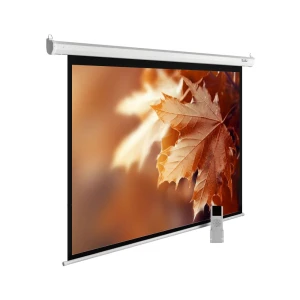 Պրոեկտորի էկրան CACTUS MOTOEXPERT CS-PSME-300X188-WT