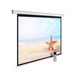 Պրոեկտորի էկրան CACTUS MOTOEXPERT CS-PSME-220X138-WT