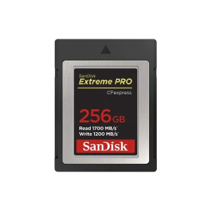 SD քարտ SANDISK 256 GB SDCFE-256G-GN4NN