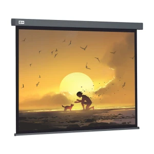 Պրոեկտորի էկրան CACTUS CS-PSW-124X221-SG
