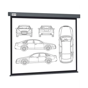 Պրոեկտորի էկրան CACTUS CS-PSW-168X299-SG