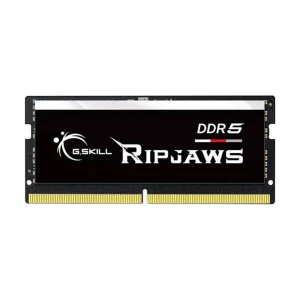 Օպերատիվ հիշողություն GSKILL Ripjaws F5-4800S4039A16GX2-RS 32 GB