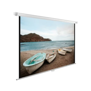 Պրոեկտորի էկրան CACTUS WALLEXPERT CS-PSWE-220X138-WT