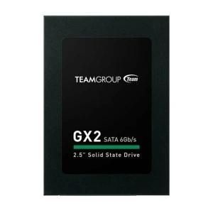 SSD կուտակիչ TEAM GROUP 256 GB T253X2256G0C101