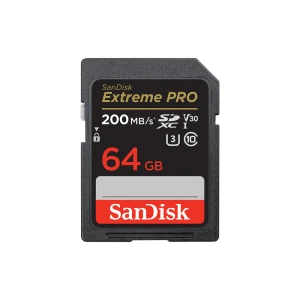 SD քարտ SANDISK 256 GB SDSDXXD-256G-GN4IN