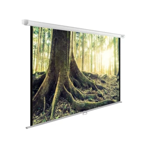 Պրոեկտորի էկրան CACTUS WALLEXPERT CS-PSWE-220X220-WT