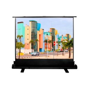 Պրոեկտորի էկրան CACTUS FLOOREXPERT CS-PSFLE-160X120