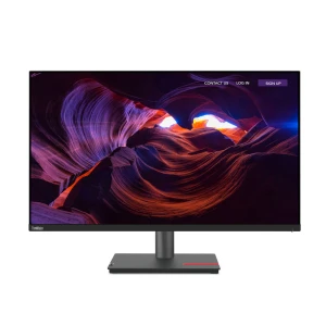 Մոնիտոր LENOVO THINKVISION P32P 63D1RAT1EU 31.5 "