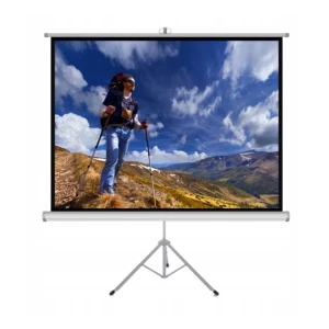 Պրոեկտորի էկրան ART ER T120 4:3
