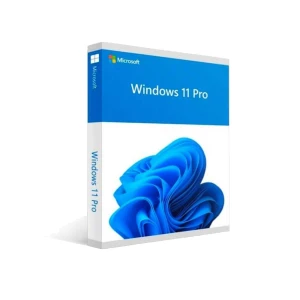 Windows 11 Pro 64 bit