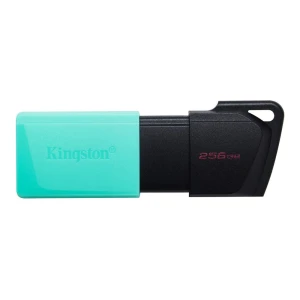 USB ֆլեշ կրիչ KINGSTON DATATRAVELER EXODIA M DTXM/256GB 256 GB