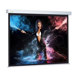 Պրոեկտորի էկրան CACTUS WALLSCREEN CS-PSW-168X299