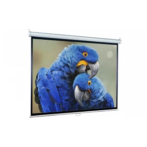 Lumien Eco Picture LEP-100112